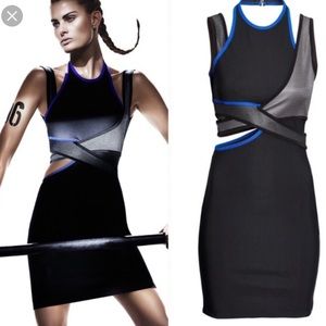 COPY - H&M Alexander Wang Dress Rare Size 6